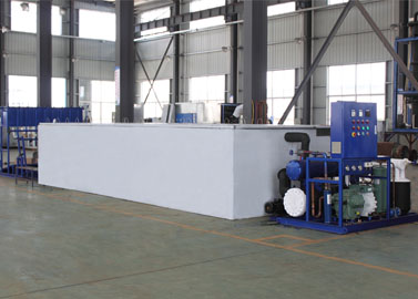 India Block Ice Machine with Ice Crusher and Delivery System