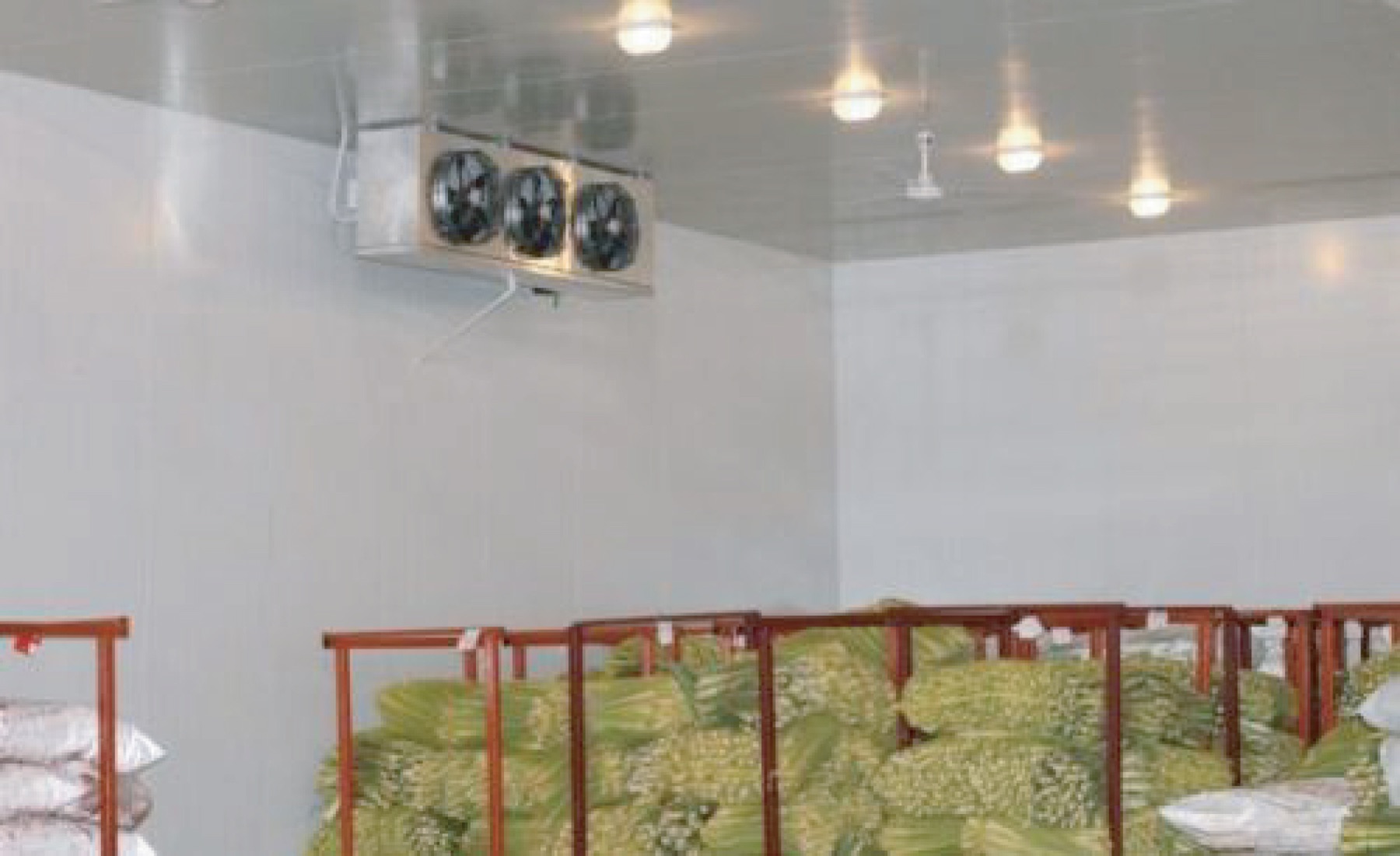 0C to 5C chilled cold storage room for fresh produce