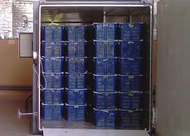 Vegetables loaded in crates for vacuum pre-cooling