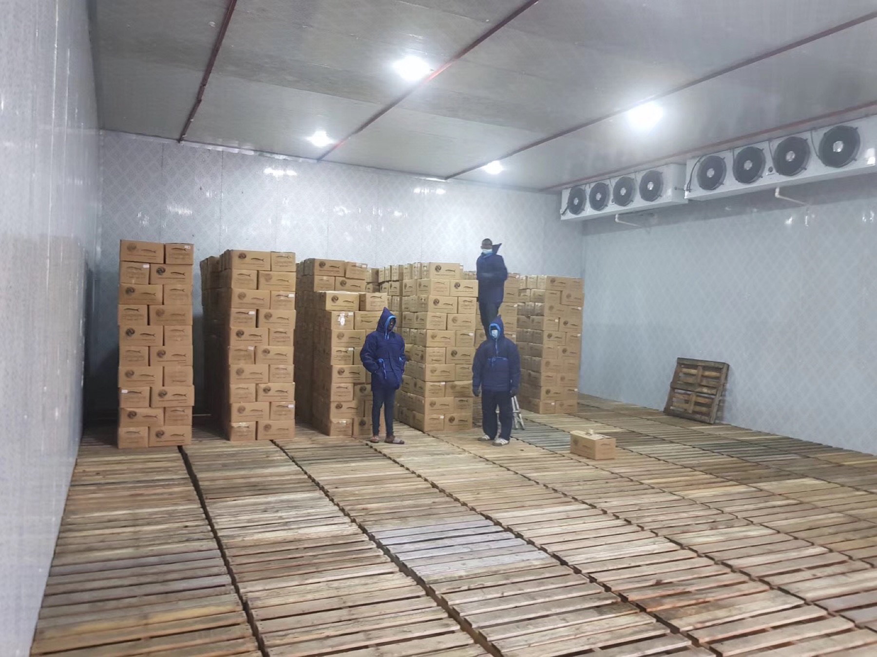 Frozen cold storage room with products and ceiling evaporators