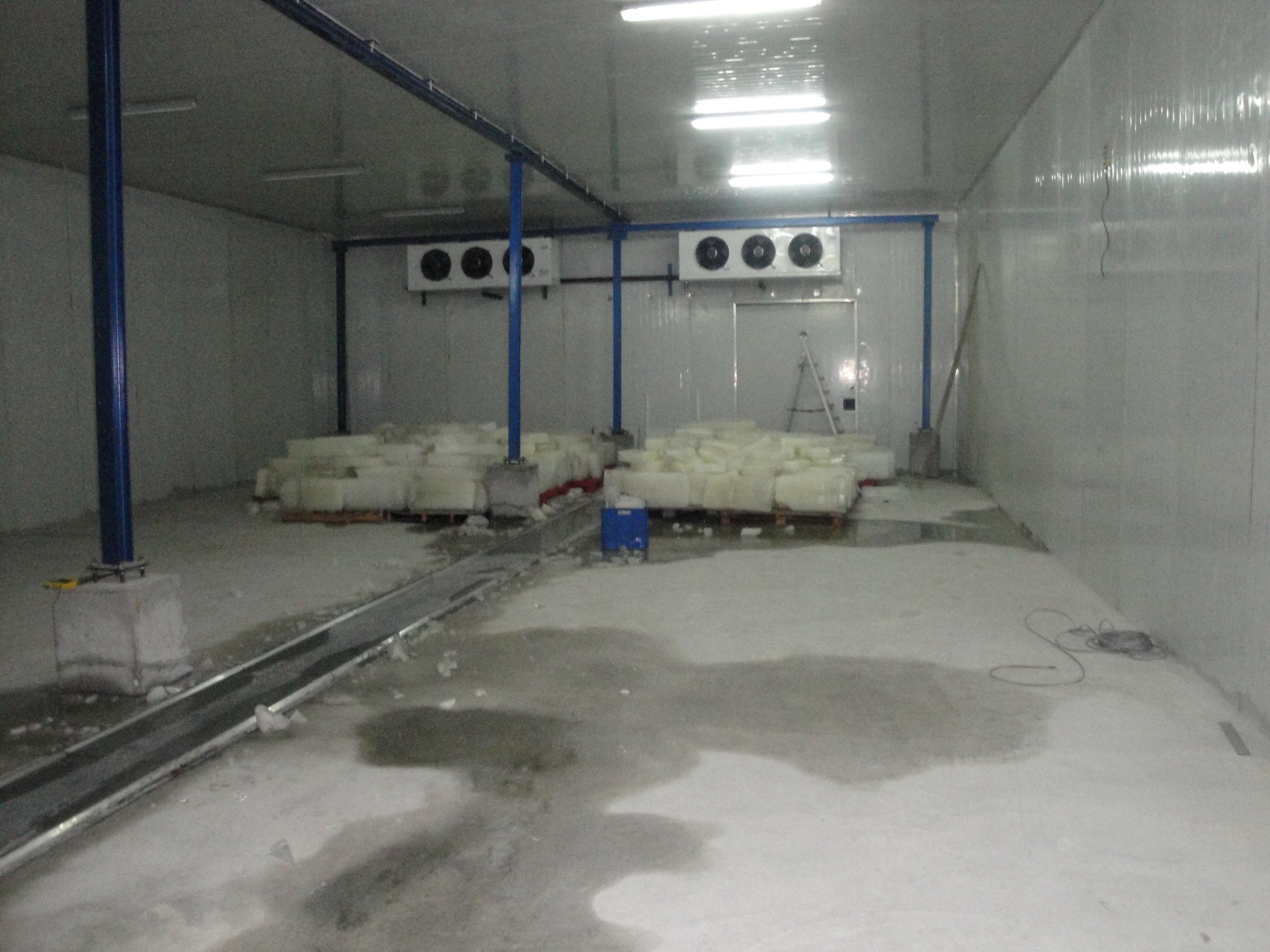 Low temperature blast freezer room with evaporators and frozen products